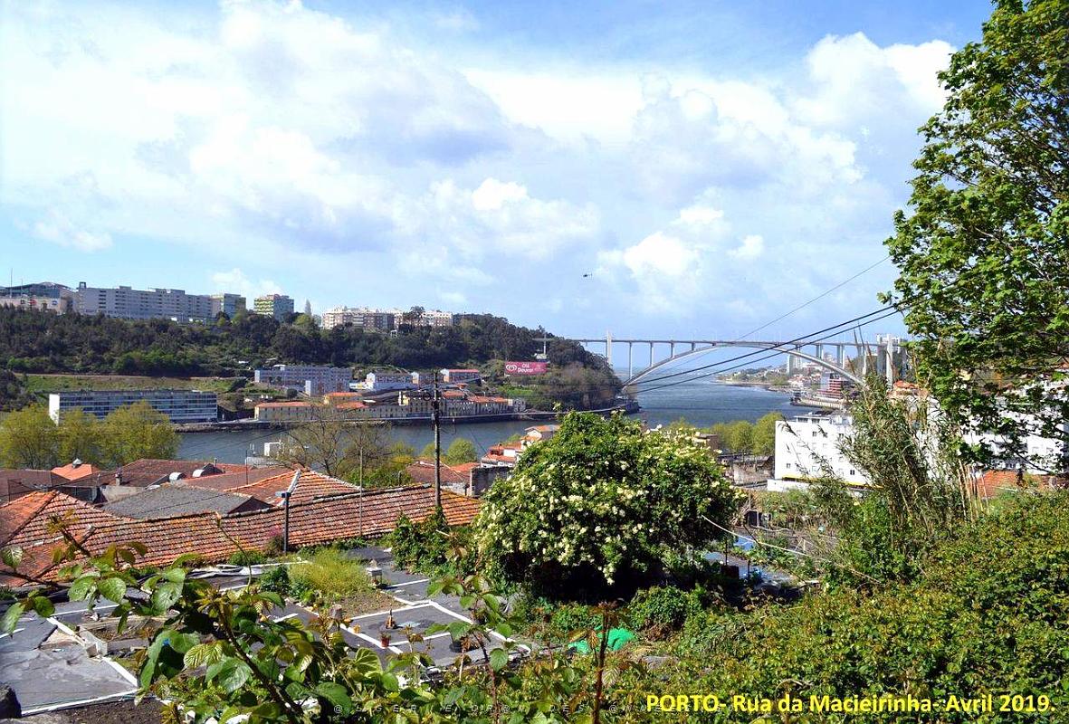 1114- Porto Jardins Palais Cristal.jpg